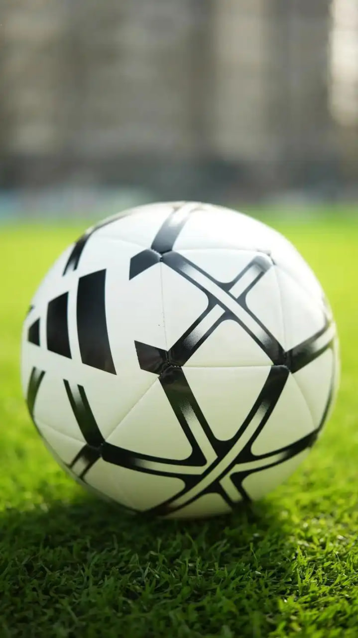 多平台下载支持